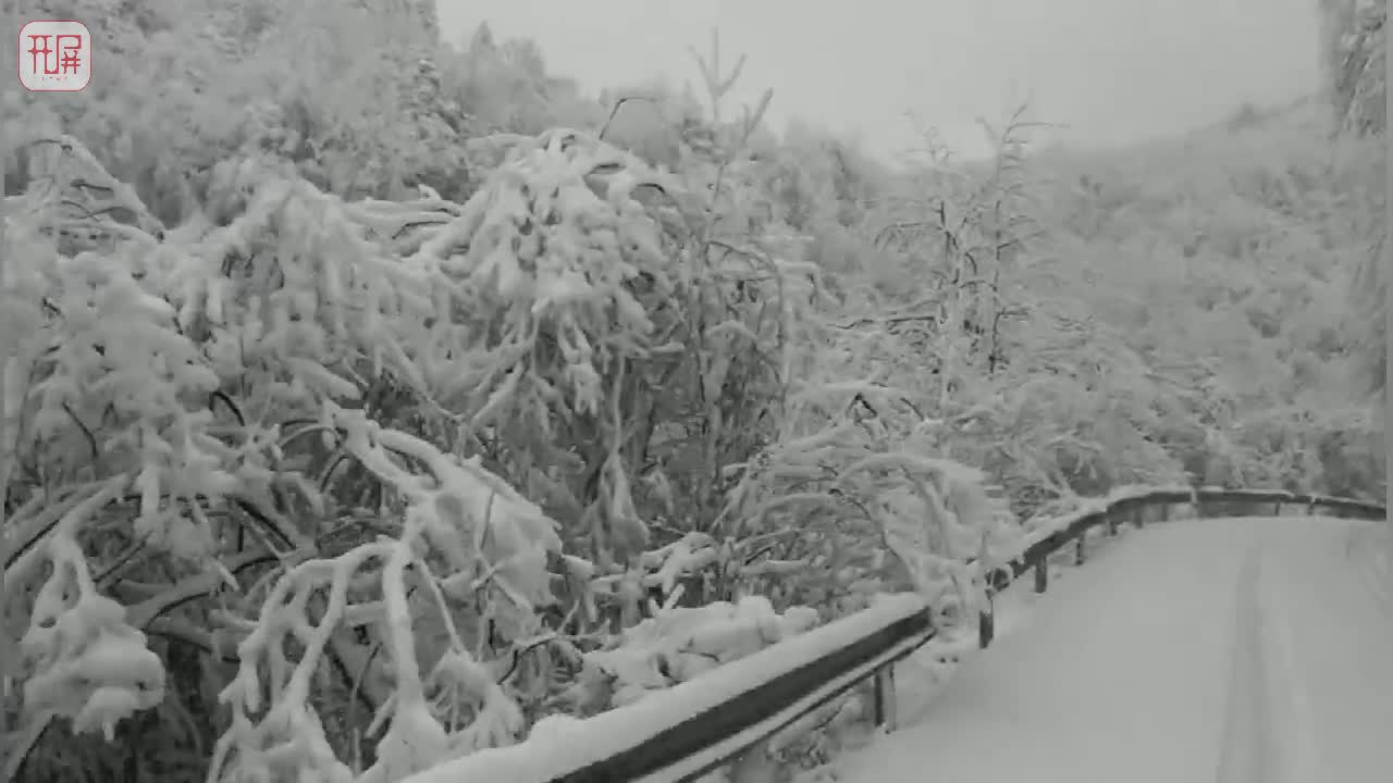 云南彝良小草坝雪景美爆了大家快快约起来