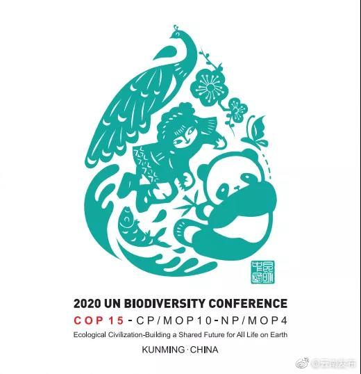 《生物多样性公约》第十五次缔约方大会明年5月17日在昆明举行2.png