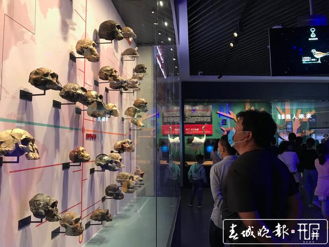 澄江化石地自然博物馆