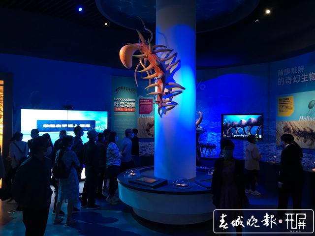 澄江化石地自然博物馆将实行限流参观