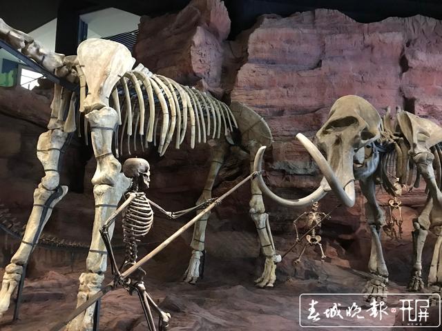 澄江化石地自然博物馆将实行限流参观