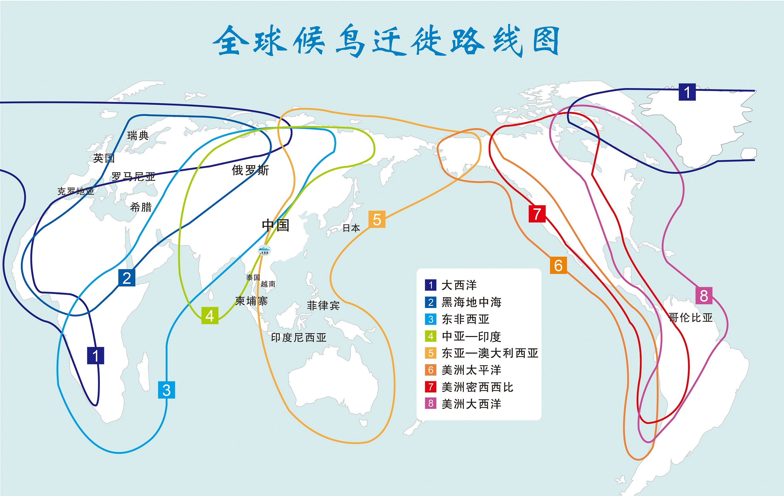 广西候鸟迁徙路线图图片