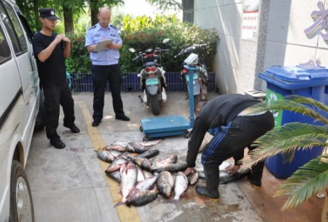 非法捕鱼被捕！长江“十年禁渔” 昆明警方在行动