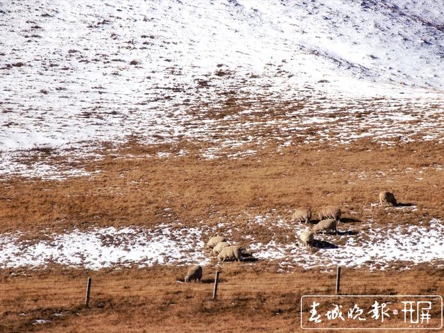 会泽草山：一个能尽情赏雪、玩雪的地方3.jpg