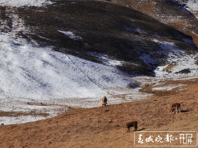 会泽草山：一个能尽情赏雪、玩雪的地方1.jpg