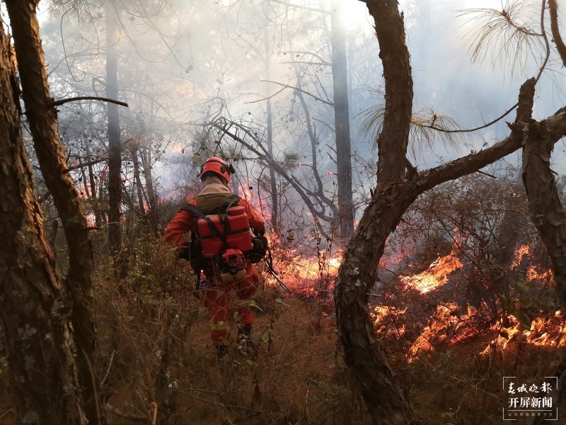 大理市突发森林火灾，森林消防紧急扑救中