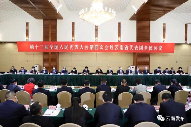 云南省代表团举行全体会议，推选阮成发为云南省代表团团长.jpg