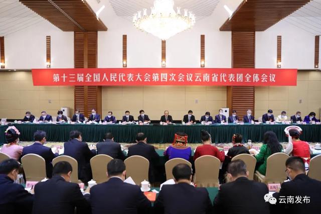 云南省代表团举行全体会议审查“十四五”规划和2035年远景目标纲要草案