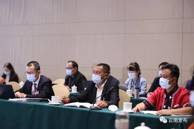 云南省代表团分组审议全国人大常委会工作报告