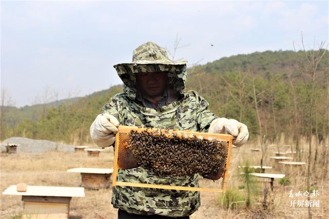 蔬菜种植 规模养蜂 水产业，曲靖马龙纳章镇产业扶贫助民增收拔穷根