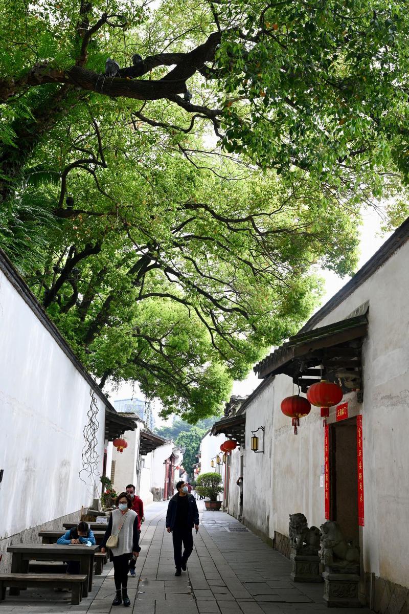2021年3月14日，游客行走在绿树掩映的福州三坊七巷文化街区宫巷内。 新华社记者 姜克红 摄