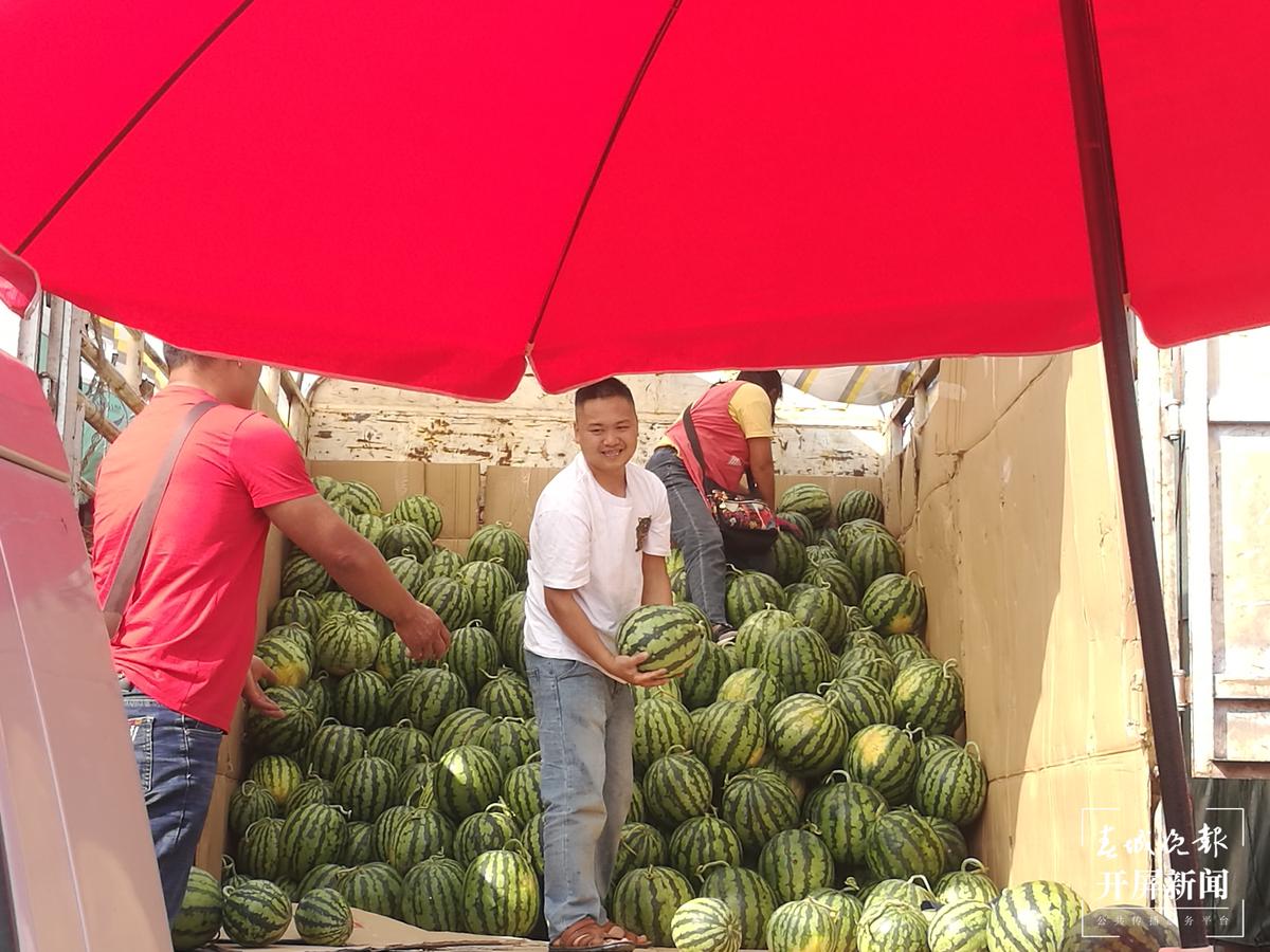 双星世佳优质西瓜种子 新疆 双星-食品商务网