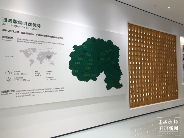【绿水青山小康路】这个博物馆汇聚了超过30000种古树茶原料