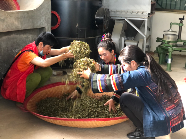 上海松江区援建茶叶初制所 让暖和村民的心里很“暖和”4.png
