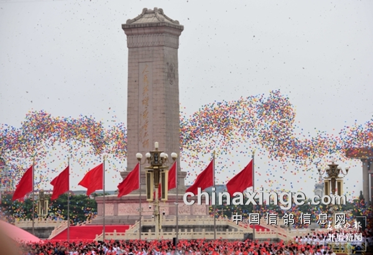 〈养鸽家〉揭秘:天安门广场展翅高飞的10万羽和平鸽