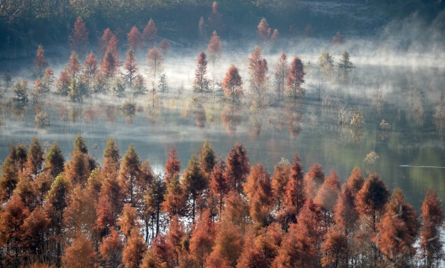 共赴“春城之约”——COP15将描绘“人与自然和谐共生”新图景（据新华社）