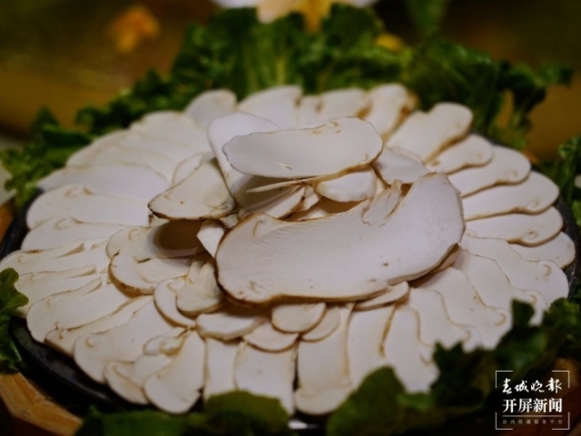 快来看看有没有你的爱豆？网红大咖齐聚中国•南华第十八届野生菌云上美食文化节！