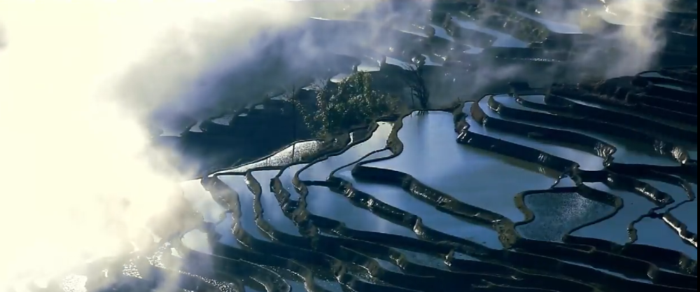 COP15系列主题歌曲《地球妈妈》MV首发