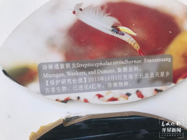 丘北藏有全省唯一县级鱼类标本室，保存8150多号鱼类标本3.jpg