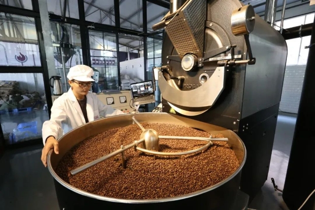“普洱咖啡”地理标志助力普洱咖啡产业蓬勃发展3.jpg