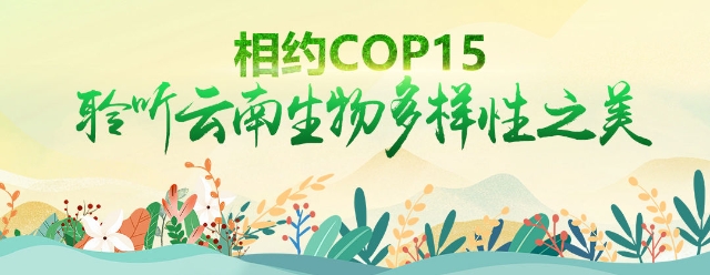 为何选择在云南召开生物多样性大会 人民网-云南频道1.jpg