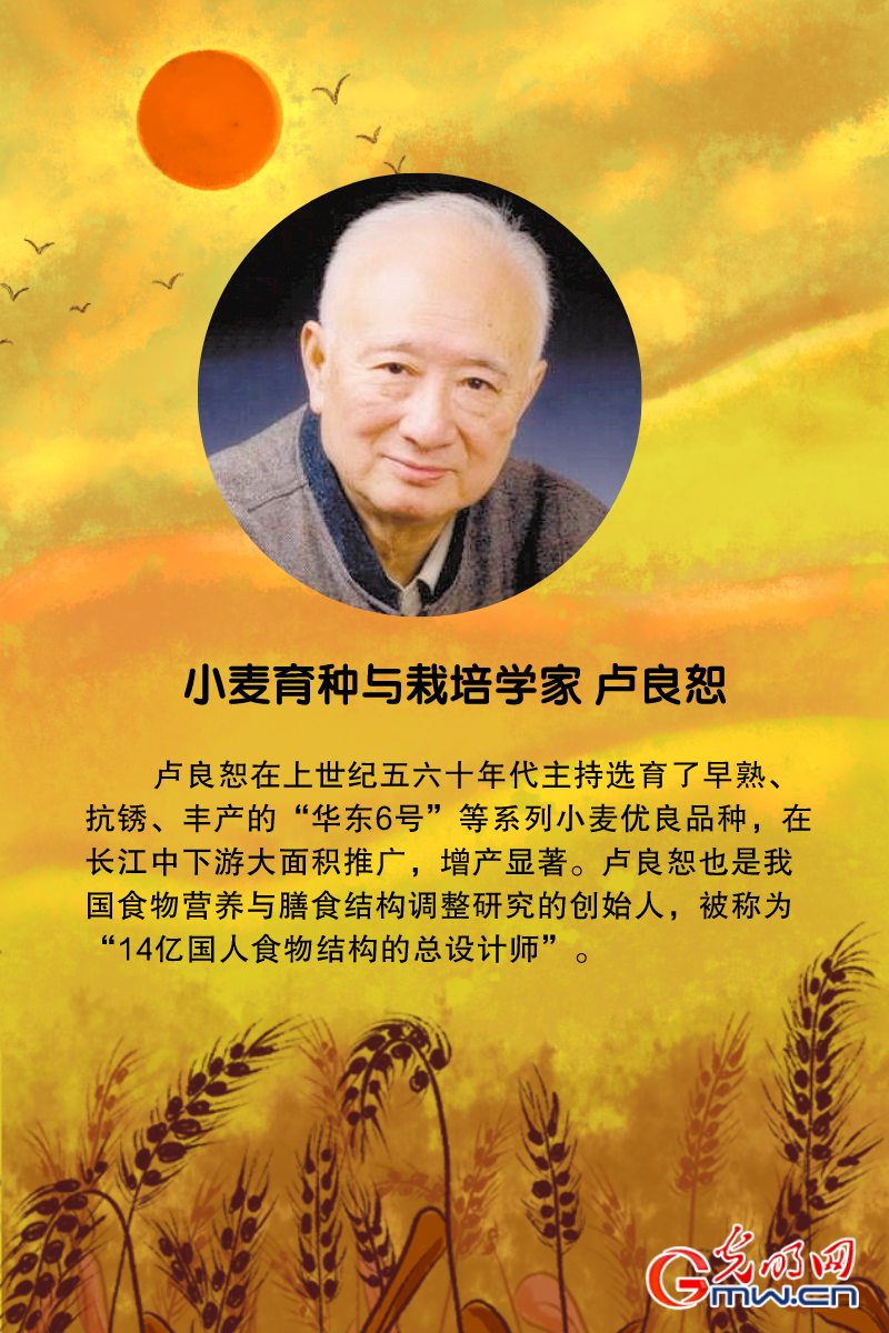 中国紧凑型杂交玉米之父 李登海 来源:光明网(文案:光明网 张倩李 