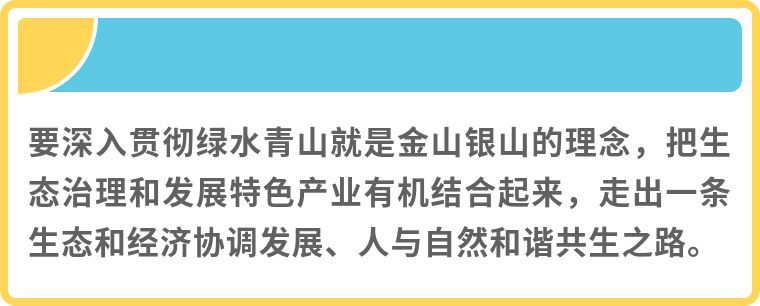 镜观·领航丨乡村振兴，在希望的田野上