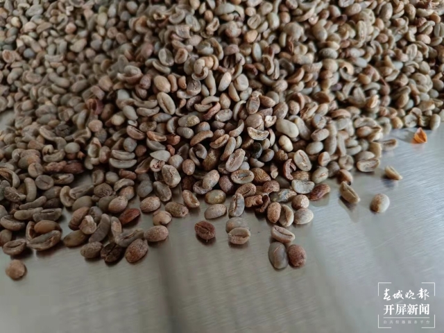 芸茶咖啡：打造“从种子到杯子”咖啡产业链
