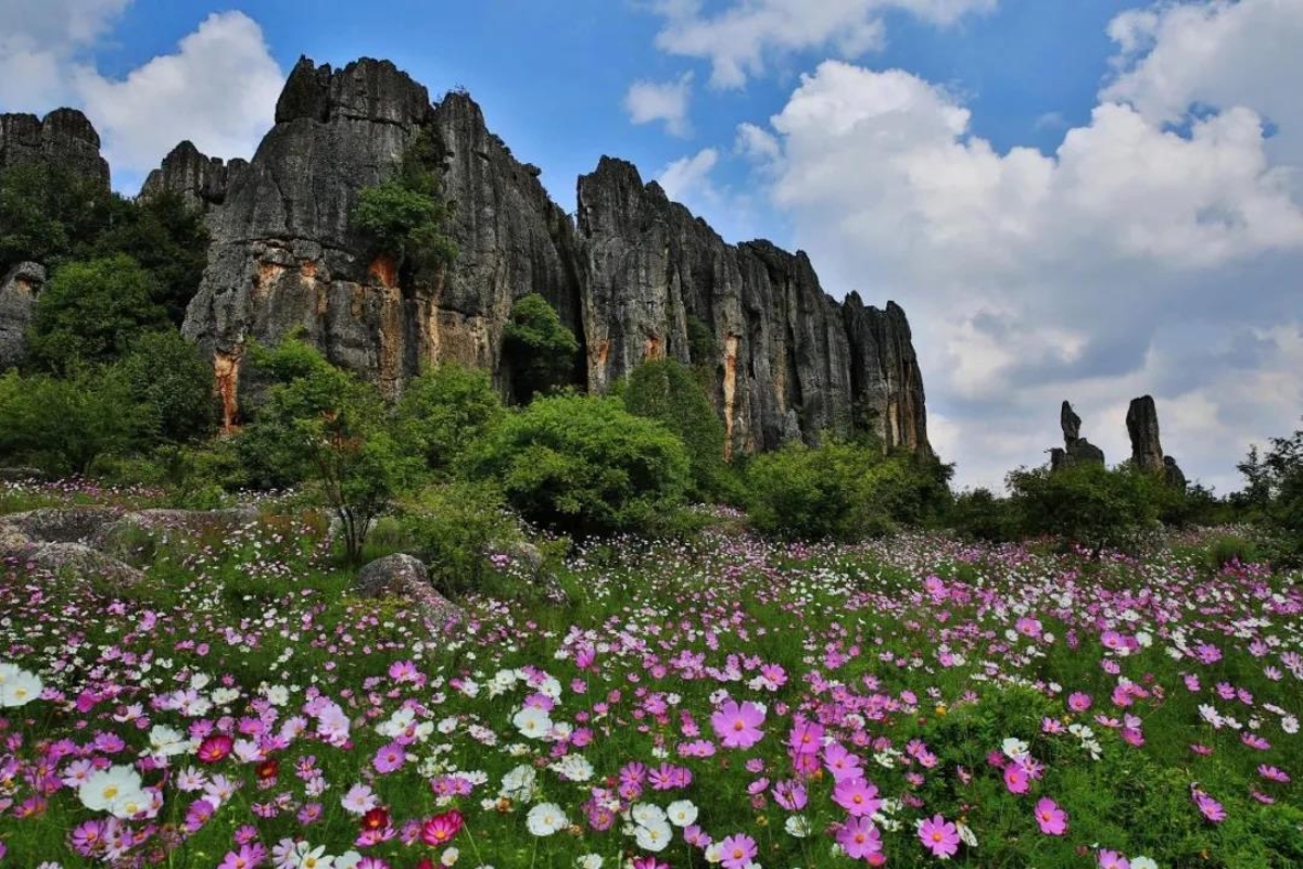 云南最美的十个地方图片