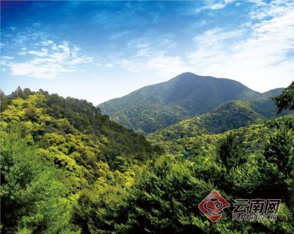 永平宝台山森林公园图片