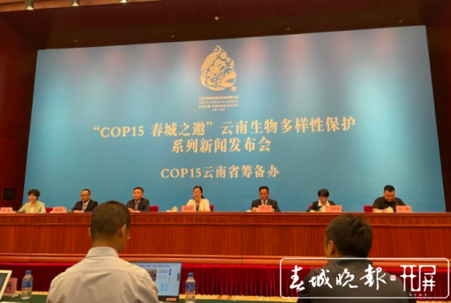 “COP15 春城之邀”云南生物多样性保护系列新闻发布会（张田睿 摄）