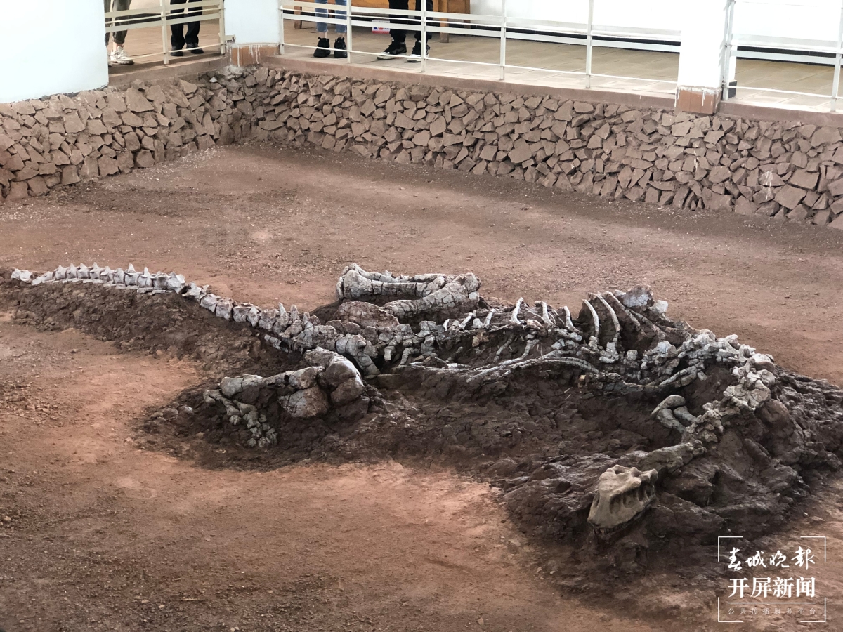 保护恐龙化石!云南禄丰市建成6个原址馆,为417件恐龙化石录档案