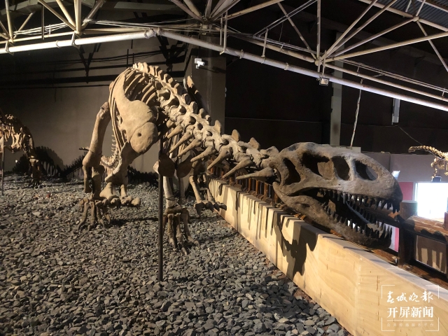 遗址馆内展出的恐龙化石(11654423)-20211005181103.jpeg