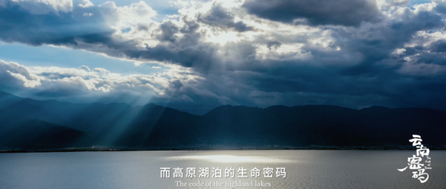 COP15云南宣传片震撼发布《云南密码》为您解密云南