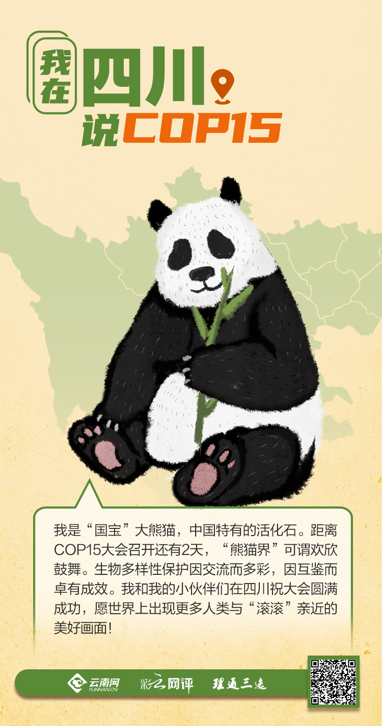 我在四川说COP15：保护让我们不再濒危