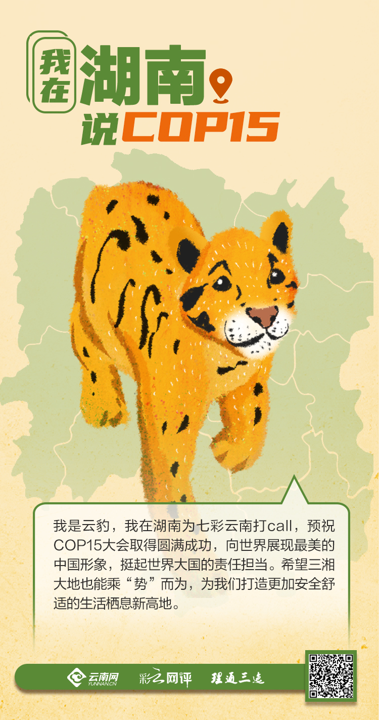 我在湖南说COP15：乘“势”而为 打造云豹栖息新高地
