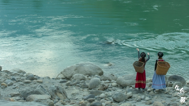 COP15大型纪录片《生命之歌》即将登录央视