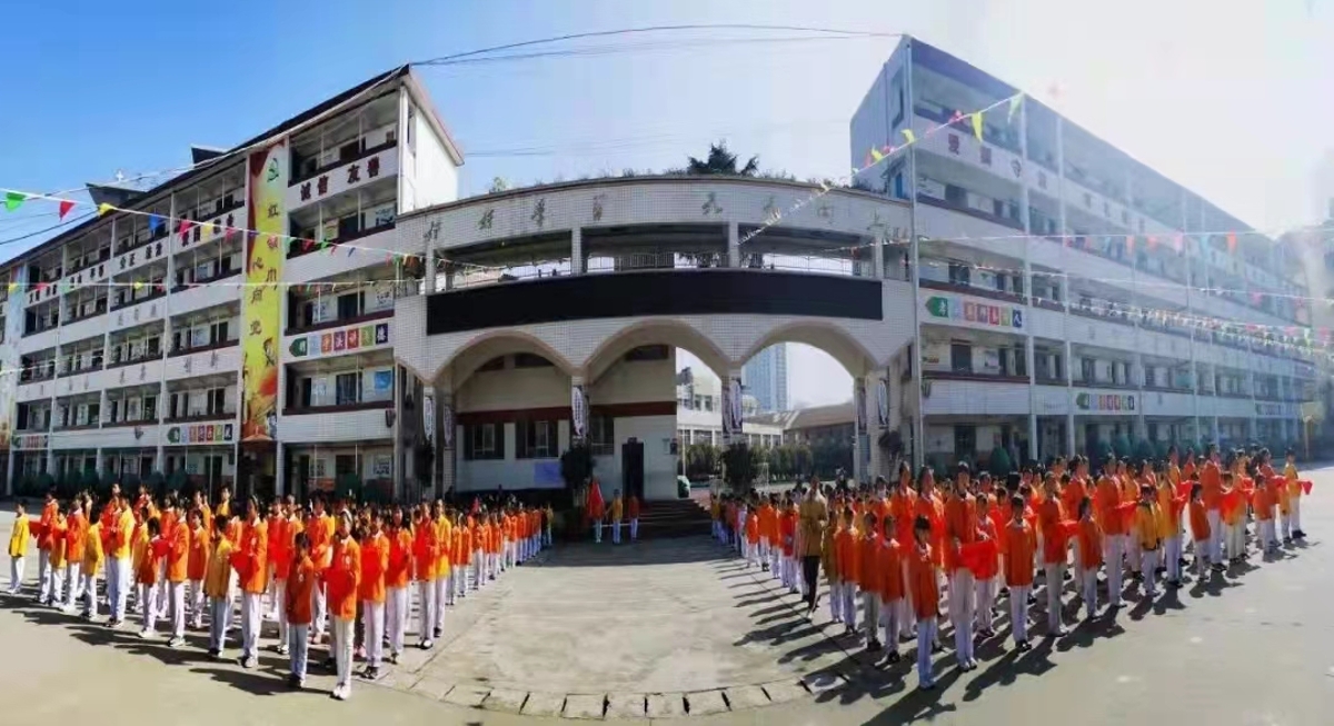 南站小学:为cop15打call