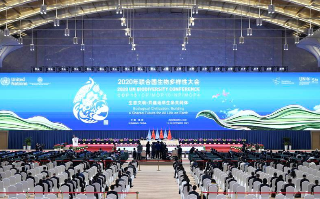 10月15日，2020年联合国生物多样性大会（第一阶段）在云南昆明闭幕。 新华社记者 陈晔华 摄