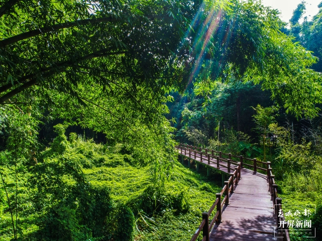 大盈江国家湿地公园：民族团结+文旅融合，富了钱袋子4.jpg