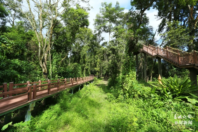 大盈江国家湿地公园：民族团结+文旅融合，富了钱袋子8.jpg