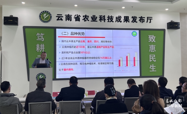 云南省农科院推介药用植物科技成果，滇黄精新品种让鲜品口感更佳（杨质高 摄）