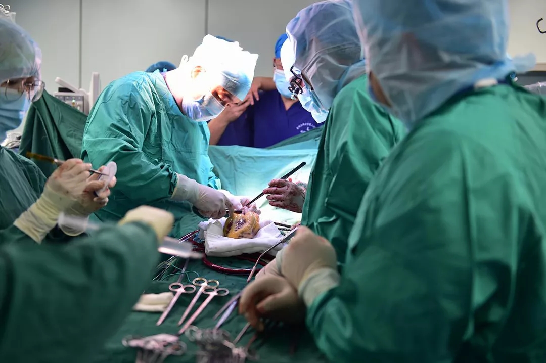 昆医大附二院心脏血管外科成功施行一例心脏移植手术