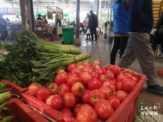 番茄价格上涨 夏体雷 摄