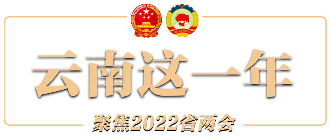 2022两会-云南这一年LOGO