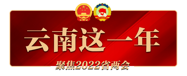 2022云南两会LOGO