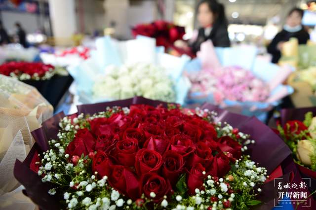 开屏观察｜花商平均进价6元/枝！情人节将近，斗南红玫瑰一枝难求（龙宇丹摄）