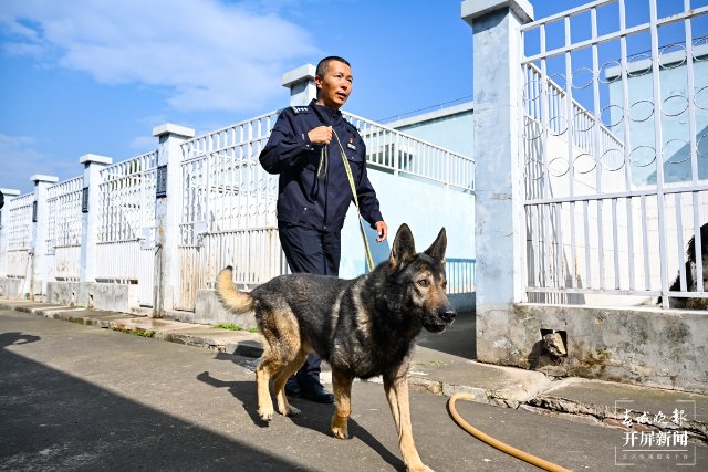 昆明警犬出征援边10只去瑞丽10只去腾冲