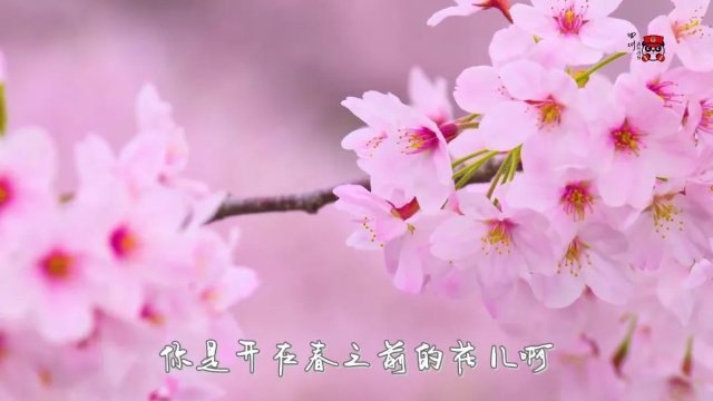 清明祭英烈｜MV《开在春之前的花》5.jpg