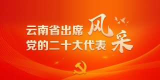 云南省出席党的二十大代表风采